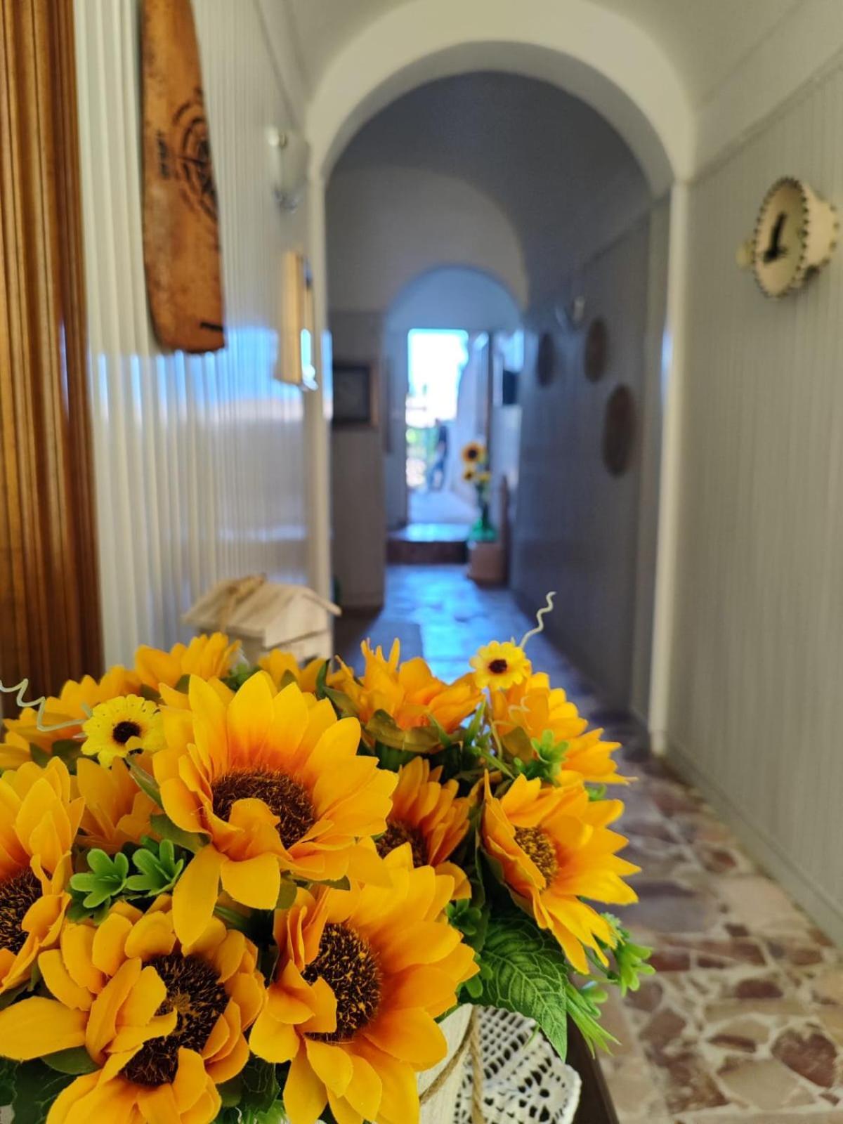 Casa Vacanze Con Giardino I Girasoli - Cin It 09006 - 9 C 2000 R4042- Сорсо Екстер'єр фото