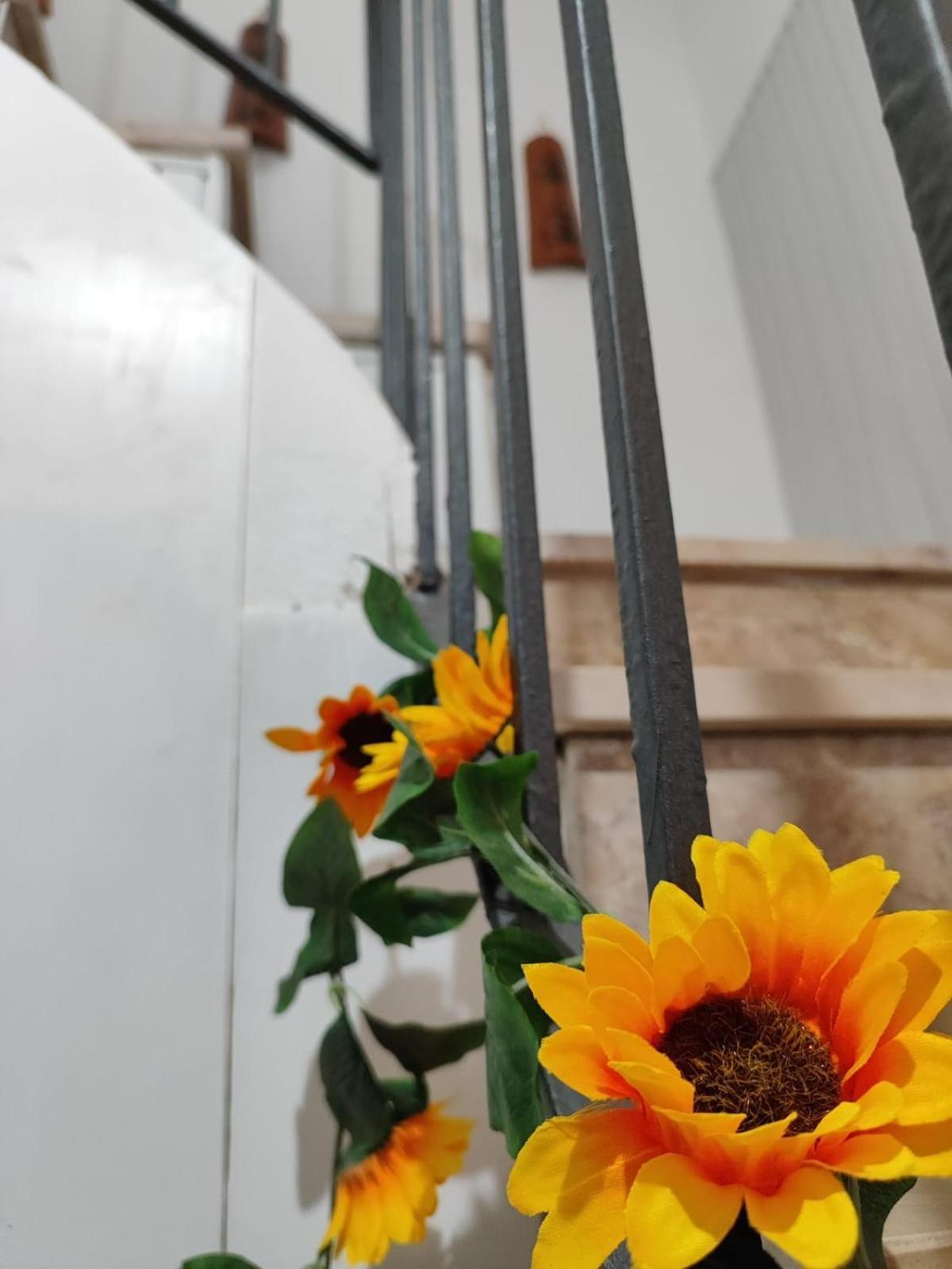 Casa Vacanze Con Giardino I Girasoli - Cin It 09006 - 9 C 2000 R4042- Сорсо Екстер'єр фото